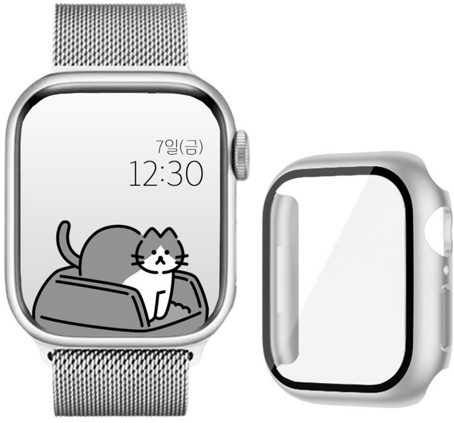 아이비온 애플워치 호환 밀레니즈 마그네틱 스트랩 + 풀커버 케이스 세트, 퓨어실버