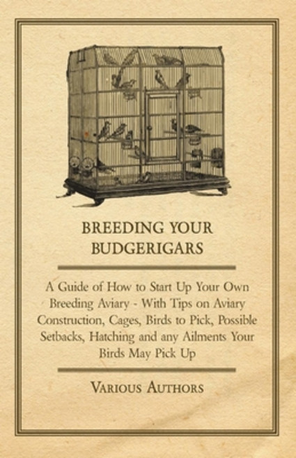 (영문도서) Breeding Your Budgerigars - A Guide of How to Start Up Your Own Breeding Aviary: With Tips on... Paperback, Spellman Press, English, 9781447415275