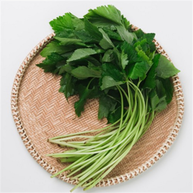 국내산 참나물 4kg 제철나물 산나물 봄나물
