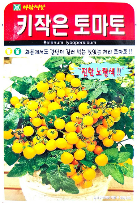 키작은토마토노랑 30립 아람 26년 토마토씨앗, H4_노랑 대추방울 토마토 30립