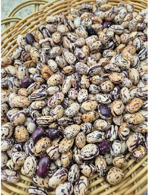 [서천특화시장] 종자 가능한 국산 건조 호랑이콩1kg 충남 서천 로컬푸드, 1개, 1kg