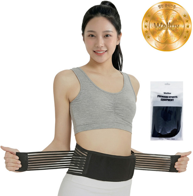 웰럽 프리미엄 메쉬 허리보호대 WL-1038, 1개