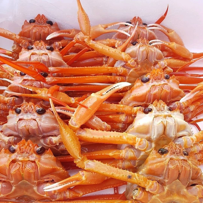 울진후포 박달홍게 3K+1K(8-10미), 1박스, 4KG