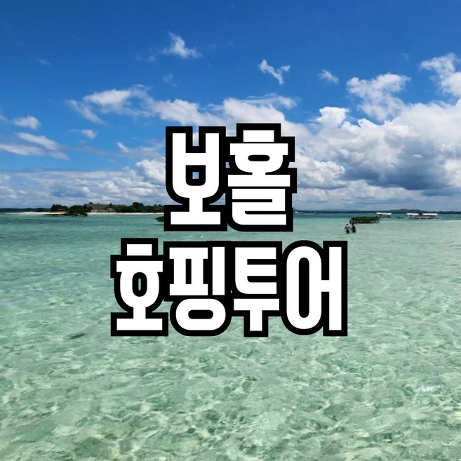 7위 - 보홀 호핑투어-푼톳 버진아일랜드 투어레코드 전용 호핑투어, 성인