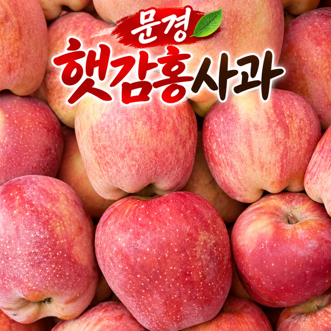 특정품 당도보장 문경 감홍 사과, 1박스, 2kg(8~10과)
