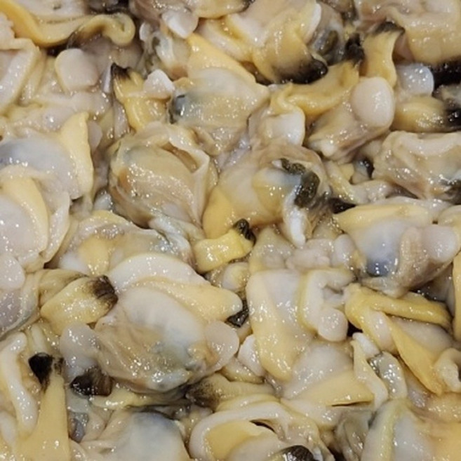 국내산 바지락살 1kg 조갯살, 1박스, 1000g