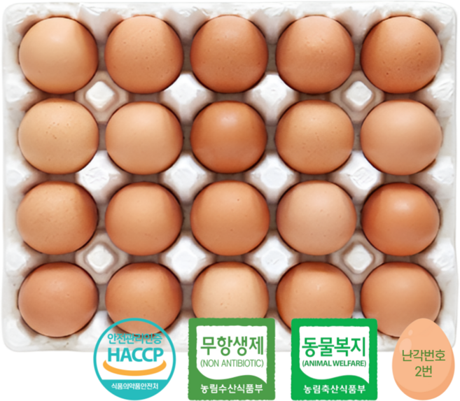 [품질보장] 난각번호2번 무항생제 유정란 HACCP 계란 달걀, 1개, 20구