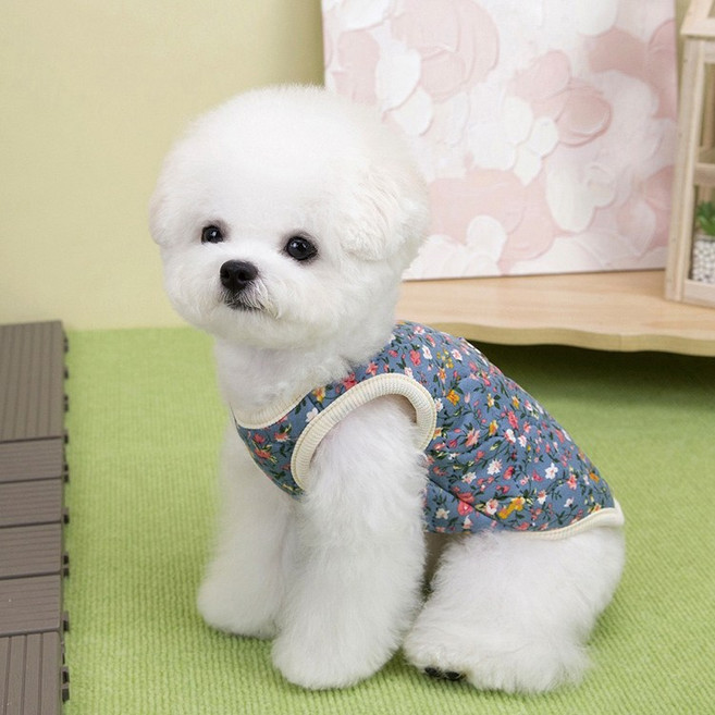 1+1 강아지 김장조끼 강아지 조끼 김장 수면 겨울 강아지 옷 할머니조끼 반려견 패딩, 2개, 블루