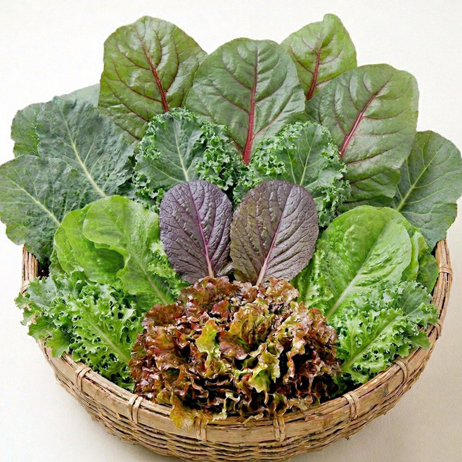 [사계절청년농부] 신선한 국내산 모듬 쌈채소 쌈야채 농장 산지직송, 1박스, 1kg