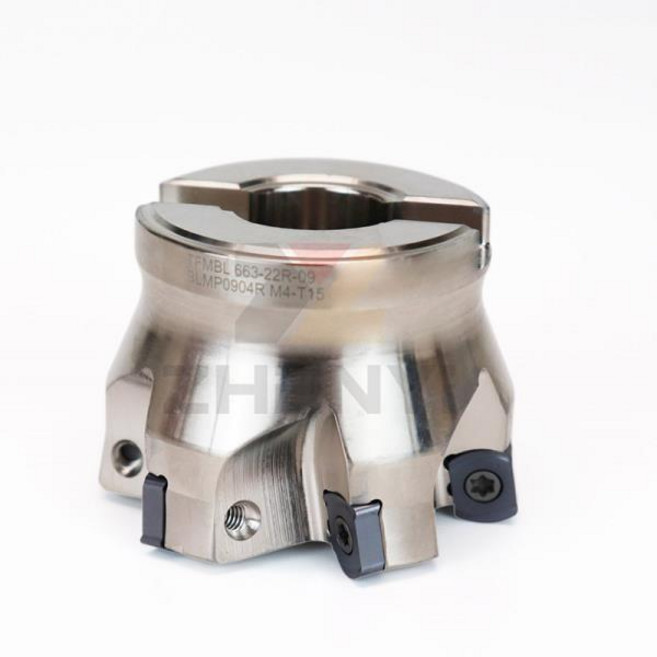 ZHENYI TEBL06 고속 이송 밀링 커터 디스크 고정밀 양면 황삭 CNC 공구 인서트, 04 Inserts Screw 5PCS