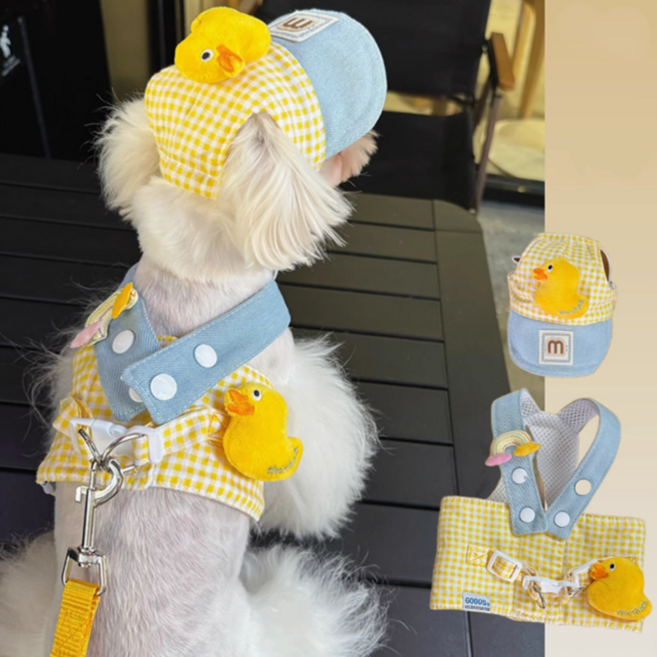 멍케어 강아지 하네스 병아리 모자 목줄 가슴줄 세트 리드줄, 1개