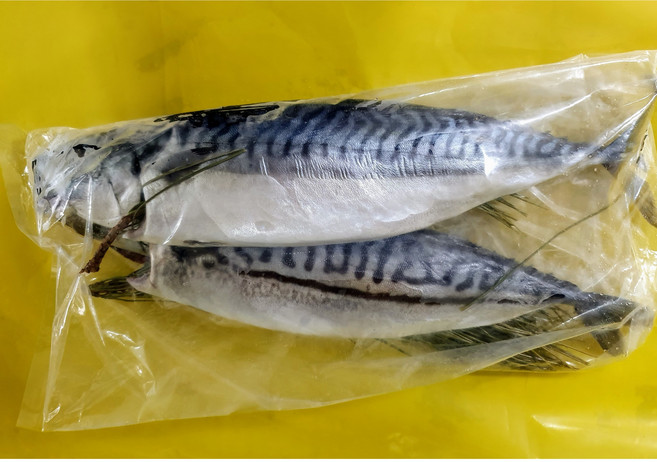 다원 특대 솔잎 노르웨이 고등어 1손(구이용 조림용외), 1개, 780g~820g