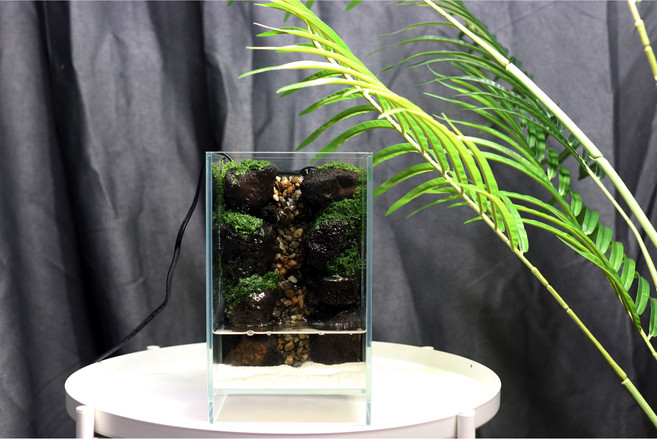 완성품 팔루다리움 15하이큐브 테라리움 KIT 비단이끼 키우기 구피 베타 새우 어항, 1개, 올디아망