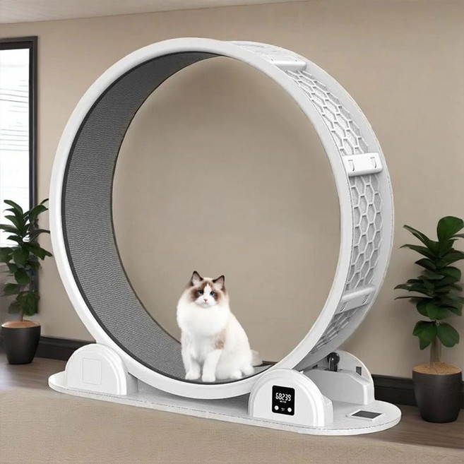 테넷 고양이 캣휠 무소음 반려동물 장난감 스마트 캣타워 다이어트 운동기구, 1세트