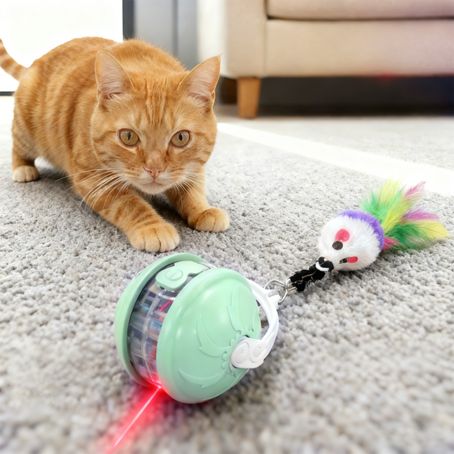 사시한사 고양이 스마트볼 자동 움직이는 사냥 장난감 충전식 공, 1개, 그린