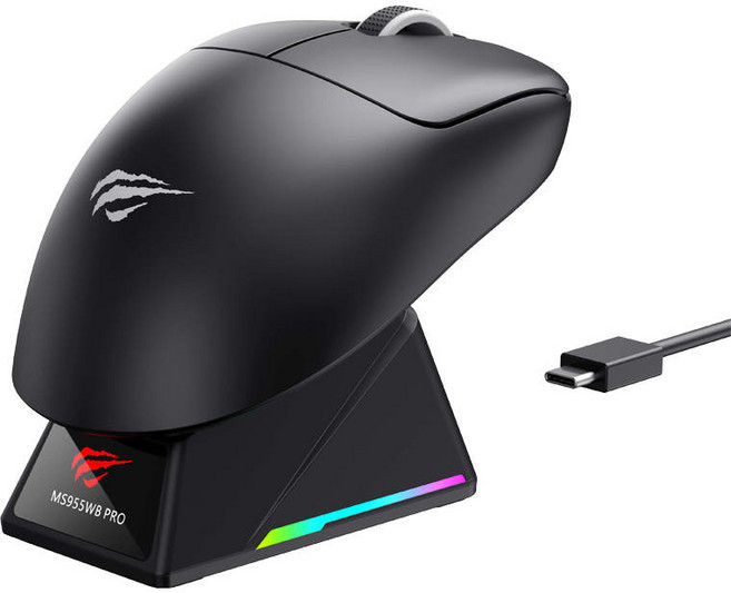 HAVIT 8K 초경량 무선 게이밍마우스 + 커스터마이징 스크린 충전 독 MS955WB PRO-WB, 블랙, MS955WB PRO-BK