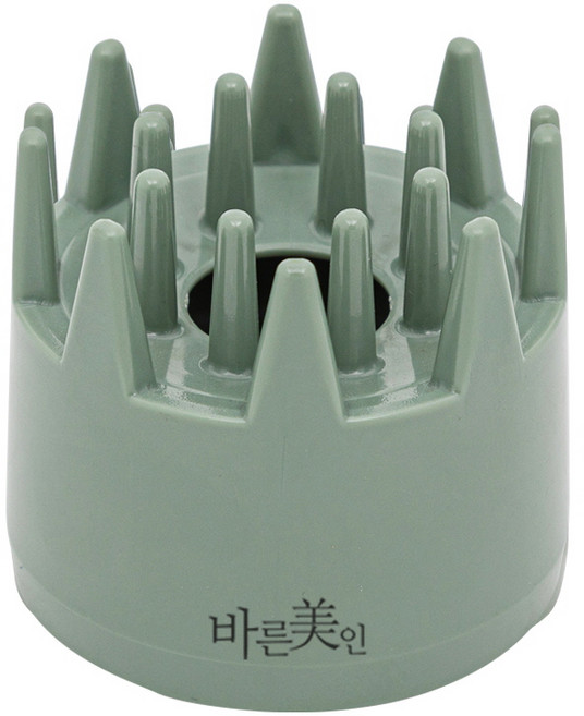바른미인 두피괄사 BM-109, 1개