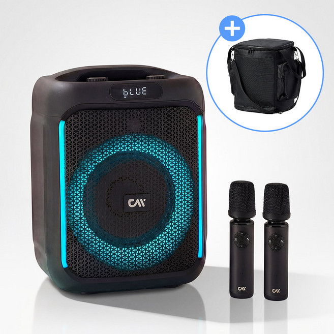 더씽 블루투스 스피커 무선 마이크 휴대용 노래방 강의용 행사용, M330W-B(가방포함)