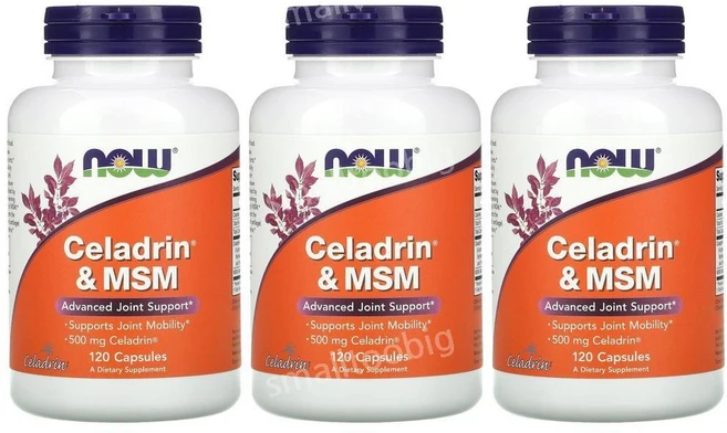 나우푸드 셀라드린 MSM 500mg 120캡슐 3병 식이유황 엠에스엠, 120정, 120정 3병 - 쿠팡