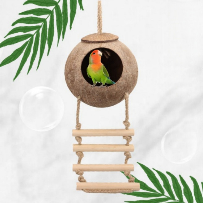 천천 코코넛 둥지 소형 앵무새 소형동물 다람쥐 친칠라 사다리 둥지, 1개, 원색