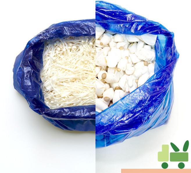 콩알새송이 1봉 팽이버섯 1봉 (총 4kg), 1박스, 4kg