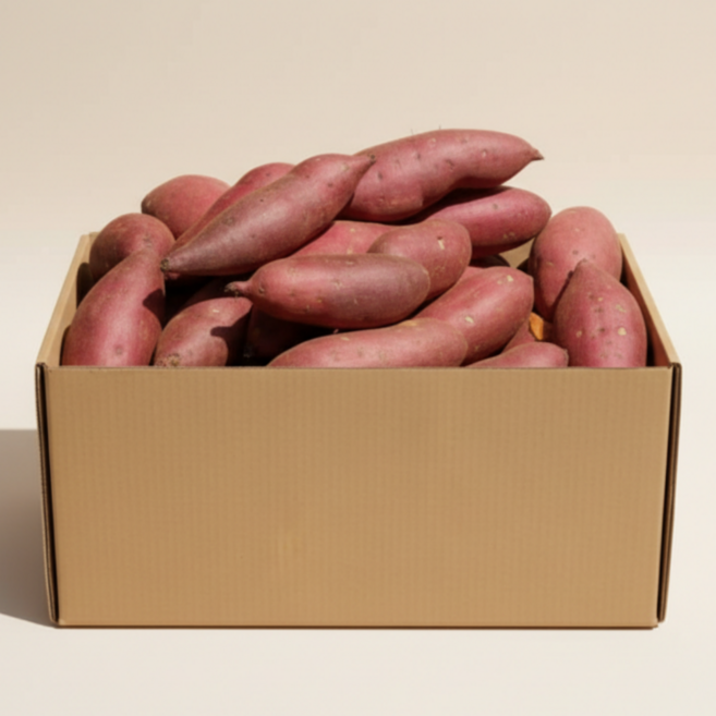 레드이츠 세척 프리미엄 해남 고구마 꿀고구마, 1박스, 중 10kg (50~100g)
