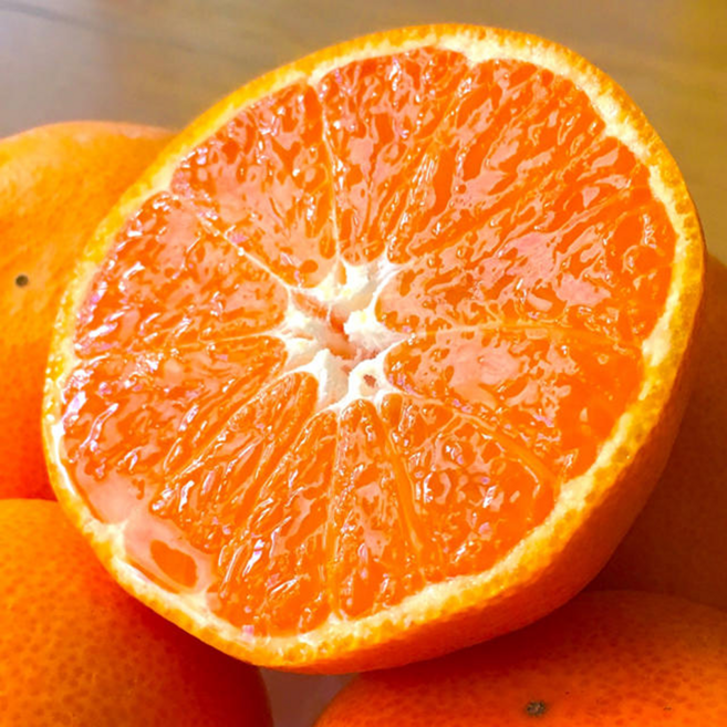 [오늘특가]100박스 한정 고당도 제주 카라향, 1박스, 2kg