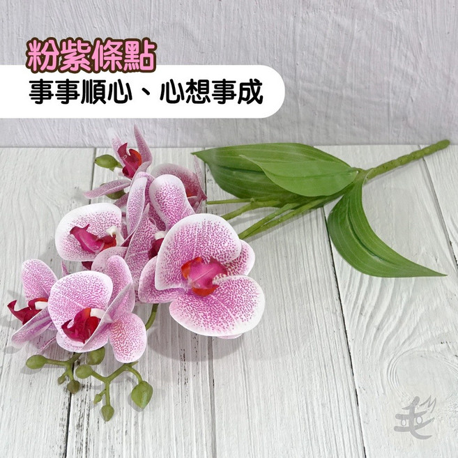 仿真蝴蝶蘭盆栽擺飾 情人節/新年/生日禮物 拍攝/攝影道具, 粉紫條點,不用花瓶, 1個