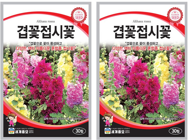 겹꽃접시꽃 씨앗 30립 꽃씨앗 세계종묘 모칸도, 2개