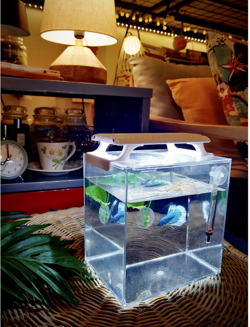 베타 어항세트 미니수족관 미니어항 베타키우기 LED 조명등커버 아크릴어항 물고기 구피 네온테트라 키우기 관상용 치어통 격리통, 1개