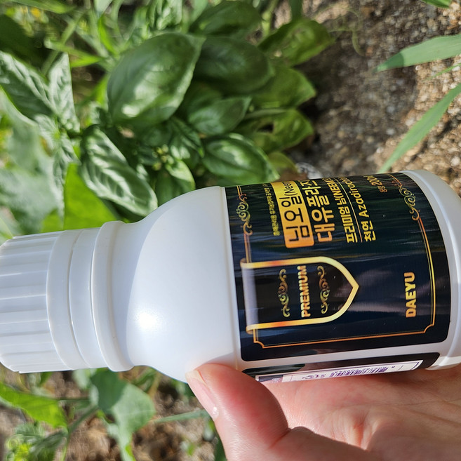 진딧물약 총채벌레 뿌리파리 응애 식물 진드기 퇴치제, 2개, 200ml