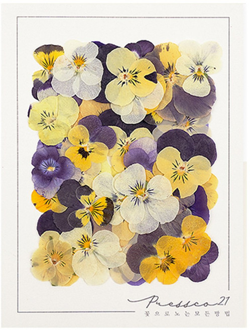 프레스코21 압화 꽃송이 누름꽃 조화 만들기 압화재료 공예 혼합꽃팩 마가렛, 팬지