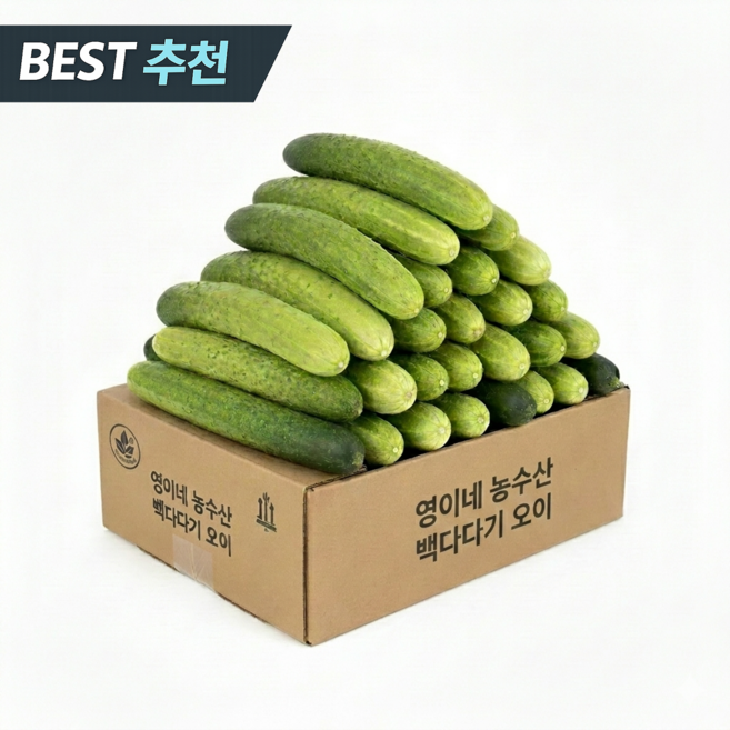 [한정특가] 국내산 오이 백다다기 백오이, 1박스, 5kg