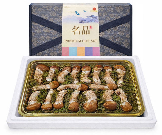 참송이버섯 [K-참송이] 친환경 특 A 등급 500g 1kg 명절 선물세트 추천 국산 무농약, 1세트, A등급 1kg