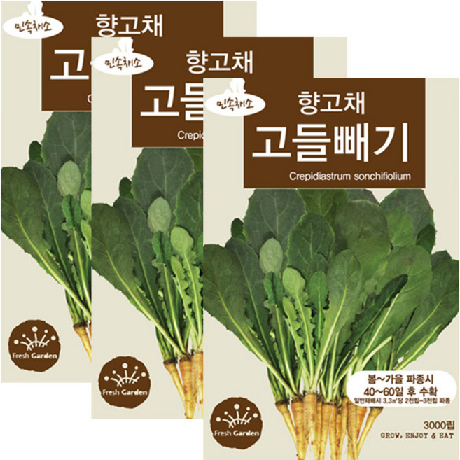 세인화분 고들빼기씨앗 3000립 산나물 나물 채소씨앗, 3개