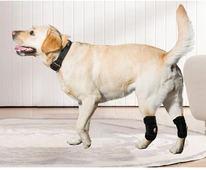 까마느 강아지 슬개골 보호대 관절 보조 스프링 지지대, 2개, 검은색