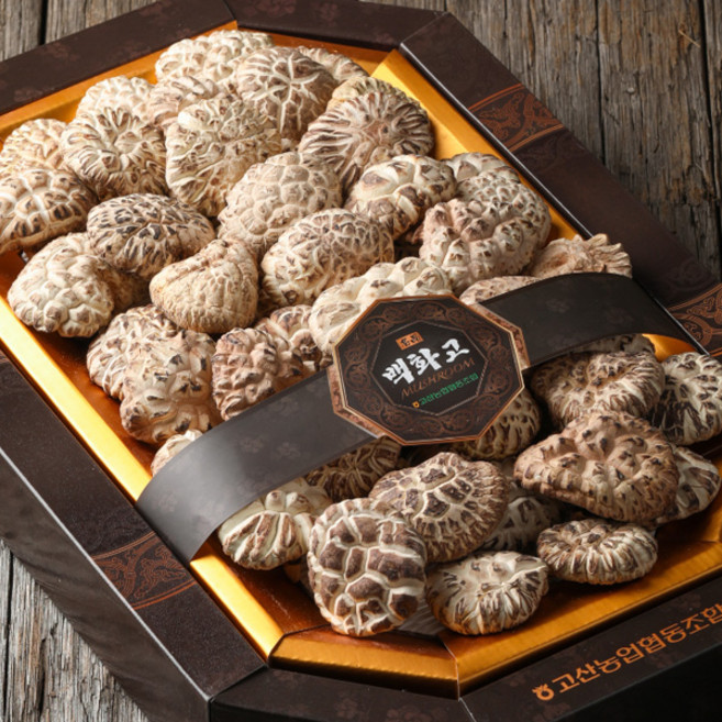 [고산농협] 표고버섯 백화고500g(선물포장), 1세트