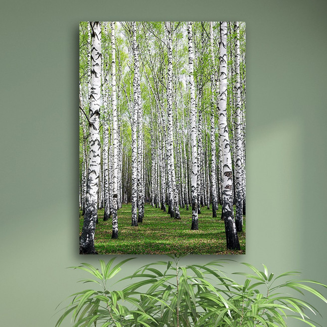 화색갤러리 인테리어액자 자작나무 노프레임 캔버스 그림 액자, 05자작나무, 1개