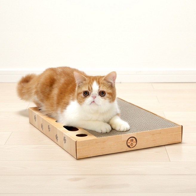 네코이찌 대형 장난감 공놀이 고양이 사각 스크래쳐, 1개, 라이트브라운