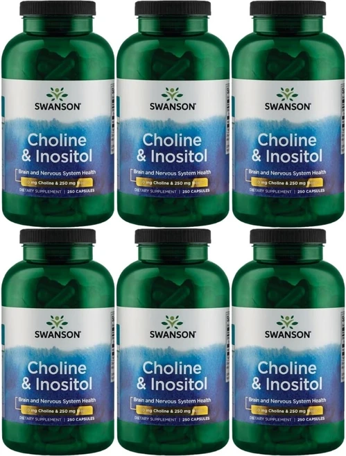 스완슨 콜린 이노시톨, 6팩, 250정 - 쿠팡