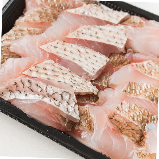 자연산 참돔회 400g 마츠카와 껍질 숙회 2인분 초장 와사비 간장 포함 세트 산회