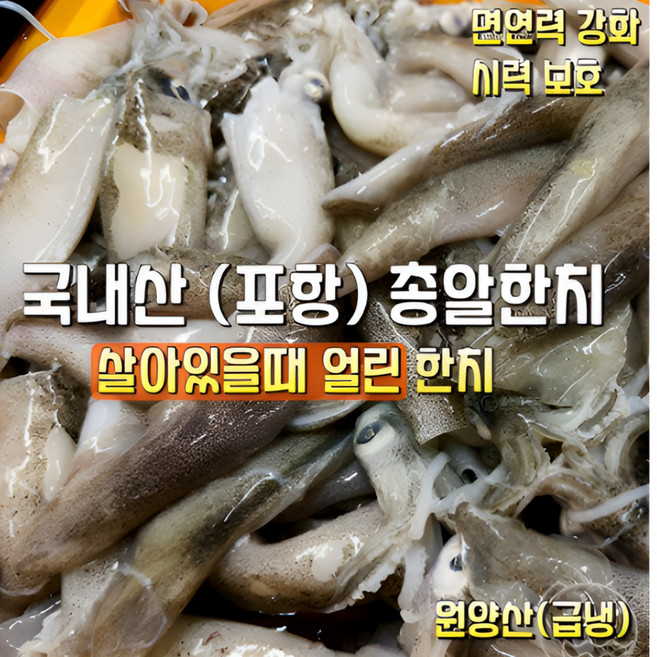 [산지직송] 내장가득 자연산 손질이 필요없는 구룡포 제철 생물 급냉 총알한치 500g(14~22미) 2팩. 500g(14~22미) 4팩 한입 쫄깃한 통찜용 숙회용, 1박스, 총알한치 500g(14~22) 2팩