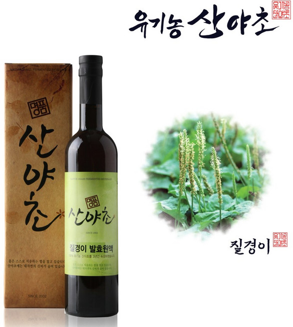 유기농산야초 질경이 발효원액 효소 진액 엑기스, 500ml, 1개