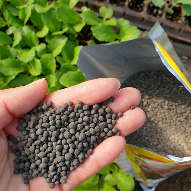 냄새없는 완숙 발효 거름 압축 나무 화단 밭 유실수 유기질 비료 퇴비, 1개