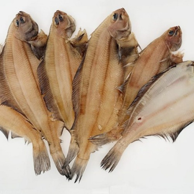 국산 반건조 기름가자미 물가자미 말린 각시 가재미 미주구리 참가자미 도다리 납세미, 반건조 기름가자미 10미, 대