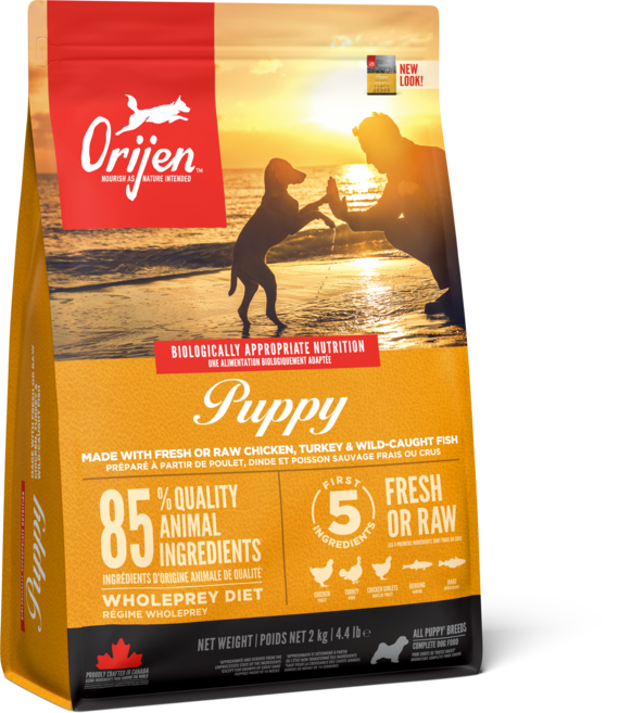 오리젠 퍼피, 6kg, 닭, 2개