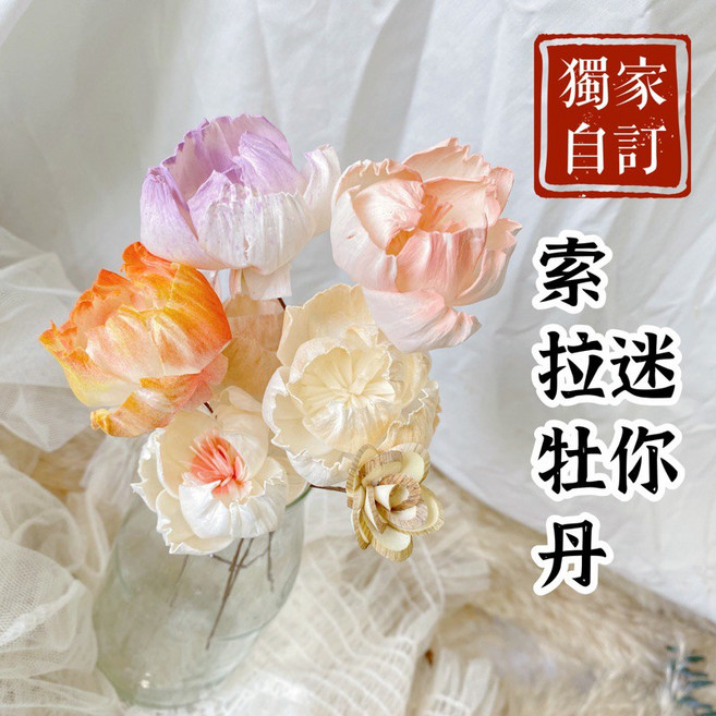 迷你索拉牡丹不凋乾燥花 拍照道具 婚禮佈置 花藝DIY素材 香氛擴香花 通草芍藥 太陽玫瑰 花束主花 捧花素材, 4-䴹鴈,Mini自訂款約4cm, 1個