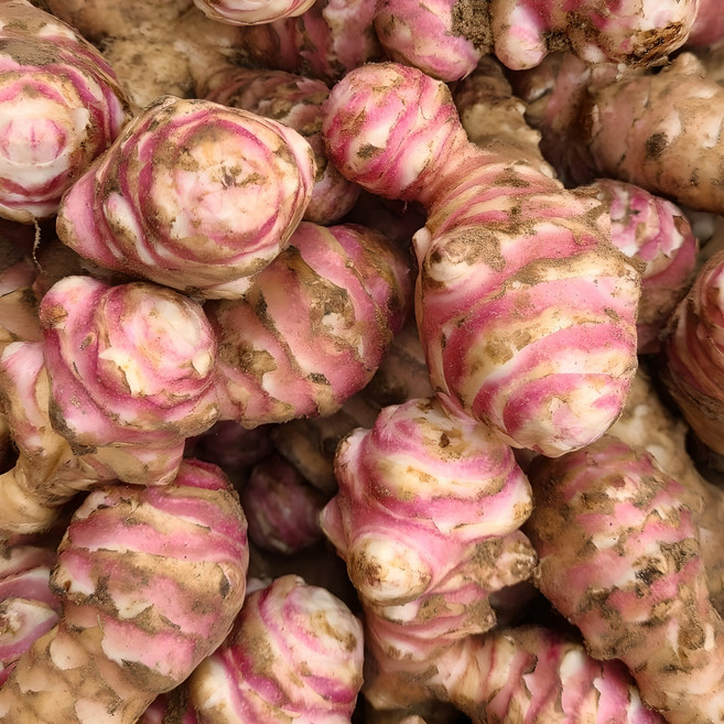 생돼지감자 자색 프리미엄 슈퍼 햇 돼지감자 뚱단지 5kg 10kg, 3kg, 1박스