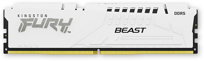 [공식수입사] Kingston DDR5-5600 CL36 FURY Beast 화이트 16GB 코잇
