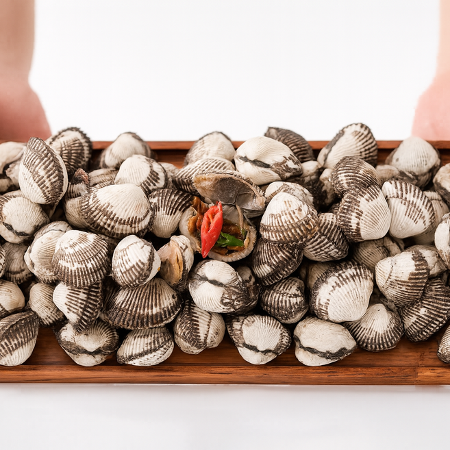 싱싱한 제철 벌교 꼬막, 1개, 특대 2kg